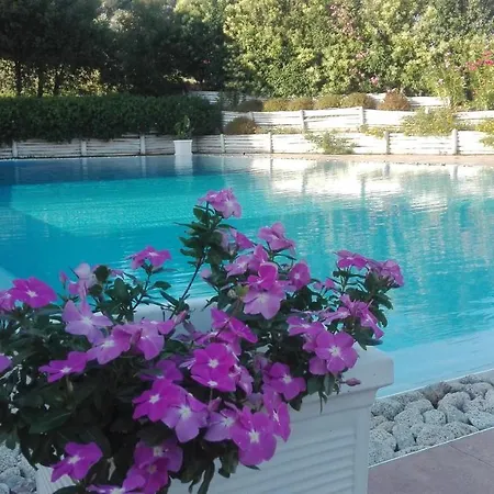 Tenuta Agrituristica Castellesi Farm stay