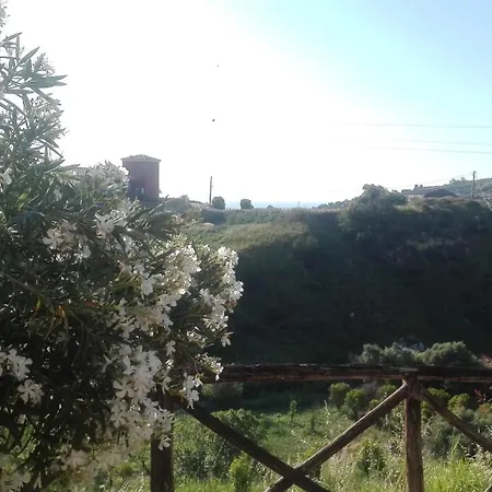 Tenuta Agrituristica Castellesi Lantgård