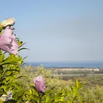 בית חווה Tenuta Agrituristica Castellesi סקילצ'ה