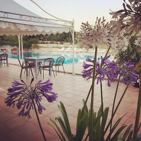 בית חווה Tenuta Agrituristica Castellesi סקילצ'ה