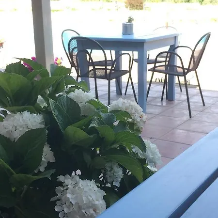 팜스테이 Tenuta Agrituristica Castellesi