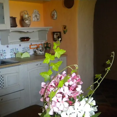 Tenuta Agrituristica Castellesi Farm stay *