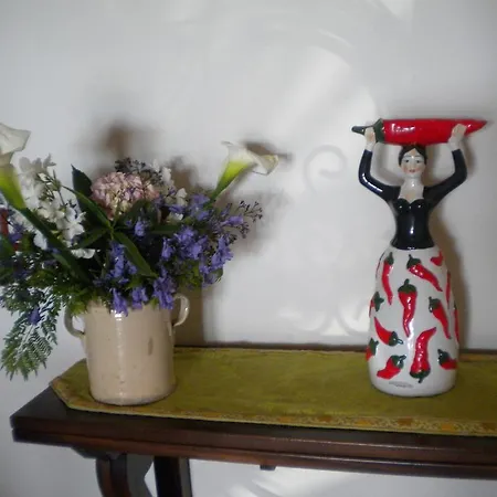 Tenuta Agrituristica Castellesi 팜스테이 *