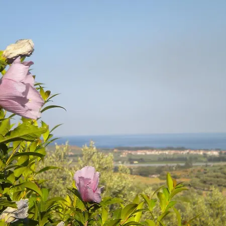 팜스테이 Tenuta Agrituristica Castellesi 스퀼라쎄