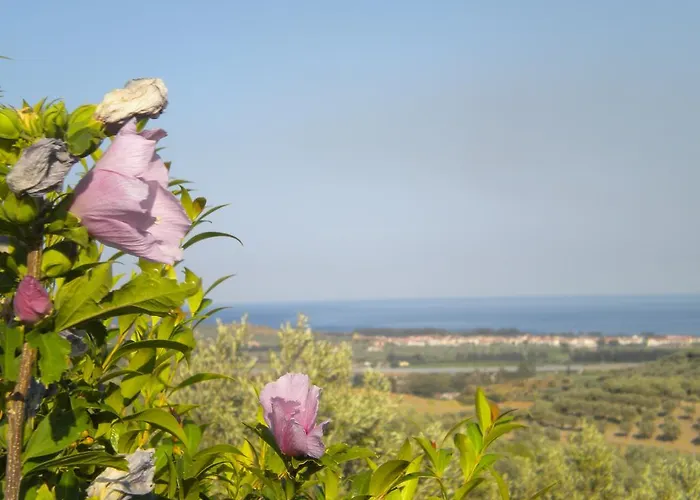 Alojamento de Turismo Rural Tenuta Agrituristica Castellesi Squillace